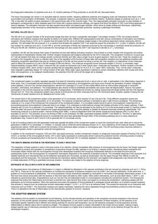 the phagocyte's elaboration of cytokines such as IL-12. Another pathway of IFN-g production is via the NK cell, discussed below.
The tissue macrophage can remain in an activated state for several months, releasing additional cytokines and engaging incell–cell interactions that result in the
accumulation and activation of fibroblasts. This process, if sustained, leads to a granulomatous and fibrotic reaction. Sustained release of cytokines such as IL-1 and
TNF-a may alter the pattern of gene expression in the parenchymal cells of the involved organ. Thus, the inappropriately activated monocyte is a key mediator of
pathogenic consequences in many diseases apart from those with a typical autoimmune etiology, and agents that block the effects of TNF-a are finding application in
various diseases. The activated monocyte may also express tissue factor and plasminogen activator, which serve to initiate clotting and fibrinolysis, respectively.
Inappropriate activation of the monocyte by autoantibodies occurs in the antiphospholipid syndrome, resulting in pathologic thrombosis.
NATURAL KILLER CELLS
The NK cell is an unusual member of the lymphocyte lineage that does not have a somatically rearranged T-cell antigen receptor (TCR), but contains several
stimulatory and inhibitory receptors that regulate its ability to kill target cells. Different NK subpopulations exist with various combinations of stimulatory and inhibitory
receptors. Among these is CD16, an Fc receptor that stimulates the NK cell to kill antibody-coated targets in the antibody-dependent cellular cytotoxicity (ADCC)
pathway. The stimulated NK cell produces IL-4, a cytokine that deviated the adaptive CD4 T-cell response toward the production of T h2 cells. In addition, the NK cell
has receptor for cytokines such as IL-12 and TNF-a, and the combination of these two cytokines produced by the macrophage or neutrophil elicits the production of
IFN-g by the NK cell. Interferon-g acts to activate the macrophage and also causes the CD4 T-cell response to deviate to a T h1 phenotype.
In addition, the NK cell has several other types of important but less well-defined activating receptors. One of these is a lectin receptor that recognizes cell surface
carbohydrate of intracellularly infected cells. Another receptor recognizes self antigens presented by the CD1d molecules. This recognition involves an unusual type
of T-cell ab receptor that does not undergo somatic junctional diversity and often uses a single Va and Ja gene segment, Va24 and JaQ. These two receptors are
involved in the recognition of tumor or infected cells. Key to the regulation of the function of these latter self-recognition receptors are two additional receptors with
interesting recognition specificities that give an inhibitory signal to the NK cell and prevent its killing a normal cell. One receptor is a heterodimer of two molecules
used to define the presence of a cell in the NK lineage (CD94 and NKG2). This molecule recognizes human leukocyte antigen E (HLA-E), a nonclassic major
histocompatibility complex (MHC) class I molecule that can usually be expressed only if other typical class I molecules are expressed. Another receptor is the killer
inhibitory receptor (KIR), which comes in several varieties that are separately specific for HLA-A, B, or C class I MHC molecules. Thus, normal class I molecules
down-regulate a potentially always “on” killing function of NK cells. When class I gene expression is altered by certain intracellular infections with viruses and some
other microorganisms, or by malignant transformation, the potential of the NK cell to kill the target cell is released.
COMPLEMENT SYSTEM
The complement system is a tightly regulated cascade of at least 24 interacting molecules found in serum and on cells. It participates in the inflammatory response in
three ways. First, it coordinates several elements of the inflammatory response to microorganisms and tissue injury through the generation of potent, biologically
active peptides, C3a and C5a, termed anaphylatoxins, derived from cleavage of C3 and C5 that initiate effects such as mononuclear phagocyte or neutrophil
activation, chemotaxis, and adhesion. The anaphylatoxins also directly enhance endothelial permeability and cause mast cell degranulation. Second, the system
participates in the immune response as a potent amplifier of phagocytosis. It facilitates this function by coating (opsonizing) the target particle with the C3b fragment
derived from C3. Third, the complement system has a series of proenzymes and other molecules that form the membrane attack complex capable of lysing the cell
membranes of certain bacteria such as Neisseria and human cells.
The central event in the complement system is the generation of C3 convertase, which cleaves C3 into C3a and C3b. Three different recognition events and
associated pathways initiate the generation of C3 convertase. The classical complement pathway is activated by IgG or IgM immune complexes. The transducing
molecule is C1q, a part of the trimolecular first component of the complement system. C1q circulates loosely bound to serum immunoglobulin molecules but, on
encountering several immunoglobulin molecules fixed to an antigen, C1q undergoes a conformational change that initiates activation of the classic pathway. It then
interacts with C2 and C4 to generate C3 convertase. The classical pathway can also be activated by the binding of C1q to the acute phase protein (C-reactive protein)
when the latter has bound to certain bacterial and fungal lipopolysaccharides. A second pathway is initiated by bacterial mannose-containing carbohydrate. The
transducing molecule is a plasma protein, mannan-binding lectin (MBL), a calcium-dependent lectin that shares overall structural features with C1q and, like it,
activates C2 and C4. This activation occurs via binding of MBL to two proteases, the MBL-associated proteases (MASP-1 and MASP-2). The third, or alternative,
pathway is triggered by C3b fragments bound to a substrate that have been generated through either of the preceding pathways and is in many respects an
amplification loop. Factors B and D bind to C3b to generate the C3 convertase activity.
A set of circulating proteins and cell-associated molecules regulate the ability of the complement system to injure the individual's own cells. Most act to reduce the
generation or effect of C3 convertase. C1 inhibitor, in contrast, acts to inhibit the serine esterase function of C1, and a deficiency of this molecule results in hereditary
angioneurotic edema. CD59 acts to prevent the formation of the membrane attack complex on homologous cells. This GPI-anchored protein becomes deficient in
some hemopoietic clones in paroxysmal nocturnal hemoglobinuria.
In addition to the complement receptors, CR3 and CR4, discussed previously, another complement receptor on phagocytic leukocytes capable of binding C3b is CR1
(CD21), a member of the immunoglobulin family. CR1 is also highly expressed on erythrocytes where it serves the protective function of binding soluble circulating
immune complexes and transporting them to the liver for removal. Erythrocyte CR1 is markedly depleted in immune complex diseases.
THE INNATE IMMUNE SYSTEM IN THE RESPONSE TO EARLY INFECTION
The integration of these systems is seen in the early events of an infection. Almost immediately after entrance of microorganisms into the tissue, the foreign organisms
are detected by binding and activation of complement components through the MBL pathway or by binding C-reactive protein. Wandering tissue neutrophils and
monocytes initially interact with the microorganism through their stereotyped receptors that recognize characteristic features of microbial structure and are
subsequently drawn to the microorganism by complement chemotactic fragments or the presence of bacterial products. The immediate response of the neutrophil is to
release cytokines and chemokines that recruit additional neutrophils and monocytes, as well as lymphocytes, into the region through their effects on both the
vasculature and the leukocytes. The monocyte reinforces the chemokine release initiated by the neutrophil, and together both phagocytes may interact with NK cells
to initiate elaboration of IFN-g to potentiate monocyte ctivation—functions also related to the adaptive immune response.
ENTRANCE OF CELLS INTO A SITE OF INFLAMMATION
As discussed above, the presence of inflammation in a region is reflected by alterations in the vascular endothelium that are induced by cytokines such as IL-1, IFN-g,
and TNF-a. These act on the vascular endothelium to increase the expression of adhesive receptors such as ICAM-1 and vascular addressins. At the same time, a
gradient of immunoreactants is established. The immunoreactants include chemokines released by neutrophils or monocytes (macrophage inflammatory protein, IL-8)
that have had chance encounters with the bacteria or that have been activated by other routes. Other potent chemokines, such as slow death factor–1 (SDF-1), are
released by parenchymal cells. Anaphylatoxins such as C3a and C5a are elaborated locally if a microorganism activates the complement system. The intravascular
leukocyte that enters this inflammatory environment is diverted from rapid laminar flow motion and begins to roll along the endothelium, interacting weakly with the
addressins via its homing receptors. When the leukocyte encounters the gradient of immunoreactants it undergoes prompt activation via G-protein-coupled receptors
that activate b2 integrins such as lymphocyte function–associated antigen–1 (LFA-1, or CD11a) to an adhesive state. This arrests the leukocyte via an interaction with
molecules such as ICAM-1. The chemokine receptors are rapidly inactivated, releasing the cell to diapedese through the endothelial junctions to enter the tissue.
There it is attracted to the site of inflammation by the chemokinetic gradient of immuno- reactants.
THE ADAPTIVE IMMUNE SYSTEM
The adaptive immune system is characterized by the following: (a) the intricate diversity and specificity of the recognition structures employed in the immune
response; (b) the somatic genetic processes underlying their development; (c) the clonal nature of the expression of these receptors; (d) the selection of an
individually specific repertoire that is efficient and lacking potential for injurious self-recognition; and (e) the selective processes of clonal expansion and the
differentiation to effector status that is induced by antigen. The adaptive immune system is closely interrelated to the innate immune system, making a highly
antigen-specific way of intensively activating the innate immune system to a higher level of selective destruction that could not be obtained through the use of
stereotyped receptors.
 
