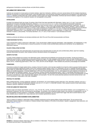 pathogenesis of scleroderma, pulmonary fibrosis, and other fibrotic conditions.
INFLAMMATORY MEDIATORS
Cytokines are composed of a broad spectrum of soluble mediators. Apart from interleukins, interferons, and tumor necrosis factors (the first mediators described as
cytokines), the discovery of numerous growth factors, colony-stimulating factors, and chemokines (chemotactic cytokines) led to the expansion of the cytokine family
(Table 6.1). Mediators of inflammation also contain proteases, reactive oxygen and nitrogen intermediates, membrane lipid–derived mediators, coagulation factors,
components and regulators of the complement cascade, and neuropeptides, among others.
INTERLEUKINS
At present, the interleukin family has at least 18 members. Most of them have been associated with inflammation. Interleu- kins 3, 4, 6, and 11 are involved in
neutrophil and monocyte/ macrophage development, whereas IL-1, IL-2, IL-4, IL-5, IL-6, IL-7, IL-11, and IL-13 are important for thymocyte/T-lymphocyte
differentiation, as well as B- and plasma cell maturation. Interleukins 3 and 5 are also involved in mast cell and eosinophil development, respectively. The role of
interleukins in various inflammatory processes will be described later. Briefly, IL-1 and IL-8 are major proinflammatory cytokines. Interleukin 1 exerts a variety of
systemic and local proinflammatory effects as it is involved in matrix metabolism by stimulating MMP production, thereby stimulating angiogenesis and cell adhesion
molecule expression. IL-8, also a C-X-C chemokine, is chemotactic for neutrophils. In contrast, IL-4, IL-10, and IL-13 inhibit most mechanisms underlying
inflammation. Interleukins 6 and 11 have disparate, both pro- and anti-inflammatory effects in chronic inflammation. IL-2 plays a role in T-cell growth and activation.
Interleukin 15 exerts IL-2-like activities. The recently described IL-16, IL-17, and IL-18 are involved in T-cell chemotaxis and function.
INTERFERONS
Interferon-g enhances cell adhesion and activates endothelial cells. Both IFN-a and IFN-g inhibit neovascularization and fibrosis.
TUMOR NECROSIS FACTOR a
Tumor necrosis factor a plays a central role in inflammation. Tumor necrosis factor a affects leukocyte extravasation, matrix degradation, and angiogenesis in a way
similar to that of IL-1. Tumor necrosis factor a induces the production of a number of other proinflammatory cytokines and chemokines, thus up-regulating the
inflammatory response.
COLONY-STIMULATING FACTORS
Granulocyte-macrophage colony-stimulating factor and granulocyte colony-stimulating factor (G-CSF) also exert proinflammatory effects. Apart from mediating
leukocyte differentiation and growth, these mediators enhance intercellular adhesion and angiogenesis.
GROWTH FACTORS
A number of these mediators are involved in the inflammatory events, mesenchymal cell proliferation and synovial pannus formation. Yet their key functions in
inflammation are stimulation of angiogenesis as well as tissue fibrosis and repair. The major angiogenic growth factors are basic and acidic fibroblast growth factors
(bFGF and aFGF), as well as vascular endothelial (VEGF), platelet-derived (PDGF), hepatocyte (HGF), epidermal (EGF), insulin-like (IGF-I), and transforming growth
factors (TGF-b). Transforming growth factor b, PDGF, IGF-I, FGFs, and EGF are also fibrogenic. These mediators are produced by macrophages and endothelia.
CHEMOKINES
Chemokines constitute the largest cytokine family, consisting of almost 40 members, which has been classified into at least four distinct supergene families based on
their structural homology regarding the location of two of four conserved cysteine residues. Some C-X-C chemokines, such as IL-8, epithelial neutrophil-activating
protein (ENA) 78, growth-related oncogene a (groa), grob, and connective tissue–activating protein (CTAP) III are chemotactic for neutrophils, exert proinflammatory
effects, and mediate angiogenesis. In contrast, platelet factor 4 (PF4) and IFN-g-inducible protein-10 (IP-10), which belong to the same subfamily of chemokines, are
anti-inflammatory and angiostatic mediators. The C-C chemokines, including monocyte chemoattractant protein-1 (MCP-1), macrophage inflammatory protein–1a
(MIP-1a), MIP-1b, and the chemokine termed Regulated upon Activation Normally T cell Expressed and Secreted (RANTES) are monocyte chemoattractants, but they
may also be chemotactic for T cells, natural killer cells, basophils, and eosinophils. The role of the recently described additional chemokine families termed C and
C-X-C3 chemokines in inflammation is still under investigation.
PROTEOLYTIC ENZYMES
Matrix metalloproteinases, including collagenase, gelatinase, and stomelysin, are crucial mediators of tissue destruction. Proin- flammatory cytokines, such as IL-1
and TNF-a, stimulate, whereas anti-inflammatory cytokines, such as IL-4, IL-10, and IL-13, inhibit MMP secretion. Other important enzymes include hyaluronidase,
cathepsins, lysozyme, angiotensin convertase, and others.
OTHER INFLAMMATORY MEDIATORS
Reactive oxygen and nitrogen intermediates, such as O2
–, H2O2, OH, NO, NO2, and NO3, as well as membrane lipid–derived mediators, such as prostaglandins E 2, F2a,
leukotrienes, prostacyclin, and PAFs, are produced by macrophages. The activation of the complement system results in the production of anaphylatoxins, such as
C5a. Neuropeptides including substance P, somatostatin, vasoactive intestinal polypeptide, and nerve growth factor trigger mast cells to secrete histamine. All of
these mediators play an important role in tissue destruction and immediate hypersensitivity reactions.
MAJOR BALANCE MECHANISMS IN INFLAMMATION
There is a balance of mediators in inflammation based on feedback mechanisms and the opposing effects of these soluble factors. The net outcome of the
inflammatory response depends on the balance or imbalance between these mediators on the levels of cell adhesion, migration, angiogenesis, tissue destruction, and
fibrosis (Table 6.1; Fig. 6.1).
FIGURE 6.1. Interactions between inflammatory cells via mediators in inflammation. This figure represents an example of this intercellular communication existing in
the inflamed synovial tissue in rheumatoid arthritis.
 