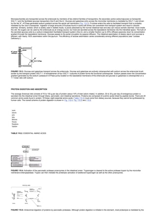 nternal-medicine textbook.pdf