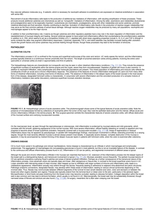 nternal-medicine textbook.pdf