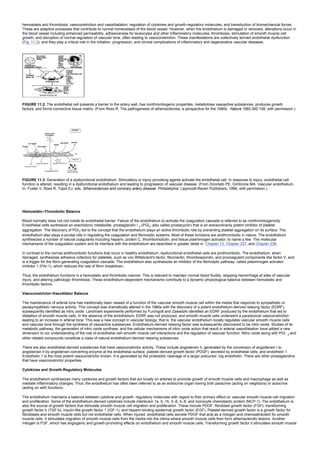 hemostasis and thrombosis; vasoconstriction and vasodilatation; regulation of cytokines and growth-regulatory molecules; and transduction of biomechanical forces.
These are adaptive processes that contribute to normal homeostasis of the blood vessel. However, when the endothelium is damaged or removed, alterations occur in
the blood vessel including enhanced permeability, adhesiveness for leukocytes and other inflammatory molecules, thrombosis, stimulation of smooth muscle cell
growth, and disruption of normal regulation of vascular tone, often leading to vasoconstriction. These manifestations are collectively termed endothelial dysfunction
(Fig. 11.3), and they play a critical role in the initiation, progression, and clinical complications of inflammatory and degenerative vascular diseases.
FIGURE 11.2. The endothelial cell presents a barrier to the artery wall, has nonthrombogenic properties, metabolizes vasoactive substances, produces growth
factors, and forms connective tissue matrix. (From Ross R. The pathogenesis of atherosclerosis: a perspective for the 1990s. Nature 1993;362:108, with permission.)
FIGURE 11.3. Generation of a dysfunctional endothelium. Stimulatory or injury provoking agents activate the endothelial cell. In response to injury, endothelial cell
function is altered, resulting in a dysfunctional endothelium and leading to progression of vascular disease. (From Dicorleto PE, Gimbrone MA. Vascular endothelium.
In: Fuster V, Ross R, Topol EJ, eds. Atherosclerosis and coronary artery disease. Philadelphia: Lippincott-Raven Publishers, 1996, with permission.)
Hemostatic–Thrombotic Balance
Blood normally does not clot inside its endothelial barrier. Failure of the endothelium to activate the coagulation cascade is referred to as nonthrombogenicity.
Endothelial cells synthesize an arachidonic metabolite, prostaglandin I 2 (PGI2; also called prostacyclin) that is an extraordinarily potent inhibitor of platelet
aggregation. The discovery of PGI2 led to the concept that the endothelium plays an active thrombotic role by preventing platelet aggregation on its surface. The
endothelium also plays a pivotal role in regulating the coagulation and fibrinolytic systems. Most of these functions are antithrombotic in nature. The endothelium
synthesizes a number of natural coagulants including heparin, protein C, thrombomodulin, and tissue plasminogen activator, to name a few. The molecular
mechanisms of the coagulation system and its interface with the endothelium are described in greater detail in Chapter 13, Chapter 237, and Chapter 238.
In contrast to the normal antithrombotic functions that occur in healthy endothelium, dysfunctional endothelial cells are prothrombotic. The endothelium, when
damaged, synthesizes adhesive cofactors for platelets, such as von Willebrand's factor, fibronectin, thrombospondin, and procoagulant components like factor V, and
is a trigger for the fibrin-generating coagulation cascade. The endothelium also synthesizes an inhibitor of the fibrinolytic pathway, called plasminogen activator
inhibitor 1 (PAI-1), which reduces the rate of fibrin breakdown.
Thus, the endothelium functions in a hemostatic and thrombotic manner. This is relevant to maintain normal blood fluidity, stopping hemorrhage at sites of vascular
injury, and altering pathologic thrombosis. These endothelium-dependent mechanisms contribute to a dynamic physiological balance between hemostatic and
thrombotic factors.
Vasoconstrictor–Vasodilator Balance
The maintenance of arterial tone has traditionally been viewed of a function of the vascular smooth muscle cell within the media that responds to sympathetic or
parasympathetic nervous activity. This concept was dramatically altered in the 1980s with the discovery of a potent endothelium-derived relaxing factor (EDRF),
subsequently identified as nitric oxide. Landmark experiments performed by Furchgott and Zawadzki identified an EDRF produced by the endothelium that led to
dilatation of smooth muscle cells. In the absence of the endothelium, EDRF was not produced, and smooth muscle cells underwent a paradoxical vasoconstriction
leading to an increase in arterial tone. This was a new concept in vascular biology; that is, the vascular endothelium locally regulates vascular smooth muscle cells
and vascular tone through the synthesis of vasoactive substances. Endothelium-derived relaxing factor was subsequently discovered to be nitric oxide. Studies of its
metabolic pathway, the generation of nitric oxide synthase, and the cellular mechanisms of nitric oxide action that result in arterial vasodilatation have added a new
dimension to our understanding of the role of endothelial cell–smooth muscle cell interactions and the regulation of vascular function. Nitric oxide along with PGI 2 and
other related compounds constitute a class of natural endothelium-derived relaxing substances.
There are also endothelial-derived substances that have vasoconstrictor activity. These include angiotensin II, generated by the conversion of angiotensin I to
angiotensin II by angiotensin-converting enzyme at the endothelial surface; platelet-derived growth factor (PDGF), secreted by endothelial cells; and endothelin 1.
Endothelin 1 is the most potent vasoconstrictor known. It is generated by the proteolytic cleavage of a larger precursor, big endothelin. There are other prostaglandins
that have vasoconstrictor properties.
Cytokines and Growth-Regulatory Molecules
The endothelium synthesizes many cytokines and growth factors that act locally on arteries to promote growth of smooth muscle cells and macrophage as well as
mediate inflammatory changes. Thus, the endothelium has often been referred to as an endocrine organ having both paracrine (acting on neighbors) or autocrine
(acting on self) functions.
The endothelium maintains a balance between cytokine and growth- regulatory molecules with regard to their primary effect on vascular smooth muscle cell migration
and proliferation. Some of the endothelium-derived cytokines include interleukin 1a, IL-1b, IL-6, IL-8, and monocyte chemotactic protein (MCP-1). The endothelium is
also the source of growth factors that stimulate smooth muscle cell migration and proliferation. These include PDGF, fibroblast growth factor (FGF), transforming
growth factor b (TGF-b), insulin-like growth factor 1 (IGF-1), and heparin-binding epidermal growth factor (EGF). Platelet-derived growth factor is a growth factor for
fibroblasts and smooth muscle cells but not endothelial cells. When injured, endothelial cells secrete PDGF that acts as a mitogen and chemoattractant for smooth
muscle cells. It stimulates migration of smooth muscle cells from the media into the intima where smooth muscle cells then form atherosclerotic lesions. Another
mitogen is FGF, which has angiogenic and growth-promoting effects on endothelium and smooth muscle cells. Transforming growth factor b stimulates smooth muscle
 