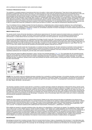 cells to synthesize and secrete extracellular matrix, predominantly collagen.
Transducer of Biomechanical Forces
The endothelium is constantly exposed to biomechanical stimuli due to its position in direct contact with flowing blood. These stimuli include mechanical forces
generated by pulsatile blood flow, fluid stress, wall tension, and intramural pressure. Some forces are passively transduced across the endothelial layer to other cells
and the extracellular matrix, whereas some forces act directly on the endothelial cell to alter its metabolic state and regulate gene expression. Some of the
biomechanically induced effects include changes in growth factors, vasoconstrictors, vasodilators, and fibrinolytic factors. For example, a sheer stress response
element (SSRE) has been described in the promoter region of PDGF B. Increased sheer stress leads to activation of a promoter element, causing transcription of the
PDGF gene and an increase in PDGF protein synthesis by endothelial cells. The PDGF protein stimulates smooth muscle cells to migrate and proliferate. This sheer
stress response element is also present in the promoter of some leukocyte adhesion molecules, such as intercellular adhesion molecule 1 (ICAM-1). The role of the
endothelium as a transducer of biomechanical forces is important in the context of atherogenesis. It is now appreciated that the early lesions of atherosclerosis arise
at sites of increased sheer stress with a predilection for branch points and lesions of curvature. These areas are characterized by disturbed blood flow.
Thus, the endothelium forms an obligate monolayer that lines the arterial tree, is metabolically active, produces vasoactive substances, has a nonthrombogenic
surface, and can form procoagulant materials. It serves as the permeability barrier that regulates the passage of molecules into the artery. It forms nitric oxide, the
principle means by which vasodilatation is maintained. It oxidizes LDL and facilitates incorporation into tissue macrophages to rid excess cholesterol particles from the
circulation. These events are described in Chapter 13.
SMOOTH MUSCLE CELLS
The vascular smooth muscle cell has been described as a multifunctional mesenchymal cell. The smooth muscle cell normally functions as a contractile cell in the
media to maintain vascular tone. However, the smooth muscle cell also proliferates in the arterial intima to form the intermediate and advanced lesions of
atherosclerosis. It is widely believed that the accumulation of smooth muscle cells in the intima represents the sine qua non of atherosclerotic lesions.
There have been considerable advances in our understanding of the biology of smooth muscle cells. Thirty years ago it was widely believed that the only function of
smooth muscle cells was to contract within the vessel wall. In the early 1970s it became possible to culture smooth muscle cells. Tissue culture studies then led to a
greater understanding of the multiple functions of smooth muscle cells. The smooth muscle cell synthesizes and secretes several forms of collagen, elastic fibers, and
proteoglycans. Smooth muscle cells, like fibroblasts, contain high-affinity receptors for a number of ligands. These ligands include LDL, insulin, PDGF, FGF, and
TGF-b, to name a few. Smooth muscle cells also synthesize and secrete growth regulatory molecules such as PDGF.
The principal role of the smooth muscle cell in the adult artery is to maintain the tone of the arterial wall. The basic mechanism of contraction involves interaction of
the contractile proteins actin and myosin. The contractile force is produced by the sliding of smooth muscle actin and myosin filaments across one another. The
smooth muscle cell responds to numerous vasoactive substances, such as epinephrine and angiotensin, that induce contraction and vasoconstriction. It responds to
vasodilatory substances as well, including PGI 2 and nitric oxide, which produce vasorelaxation.
Smooth muscle cells present two different phenotypes in culture. The first is the contractile phenotype ( Fig. 11.4). This is associated with cell contractility because
these cells contain extensive myofibrils throughout the cytoplasm consisting of actin and myosin filaments. These contractile smooth muscle cells do not respond to
mitogens such as PDGF. When a smooth muscle cell is injured or appropriately stimulated, it changes from a contractile to a synthetic phenotype. The synthetic
phenotype has fewer myofilaments. Synthetic smooth muscle cells synthesize and secrete numerous proteins, including growth factors, connective tissue molecules,
and other macromolecules.
FIGURE 11.4. The smooth muscle cell undergoes phenotypic modulation from a contractile to a synthetic phenotype. In the synthetic phenotype, smooth muscle cells
synthesize connective tissue molecules, growth factors, and interact with neighboring T lymphocytes, platelets, and macrophages. The genes that are expressed by
each cell type that interacts with the smooth muscle cell are listed to the right of the cell type. (From Ross R. The pathogenesis of atherosclerosis: a perspective for
the 1990s. Nature 1993;362:801, with permission.)
The phenotypic modulation of smooth muscle cells from a contractile to a synthetic phenotype underlies the pathogenesis of atherosclerotic lesions. Smooth muscle
cells in the contractile phenotype are nonresponsive to mitogens, whereas those in the synthetic phenotype are responsive to mitogens. such as PDGF and FGF. For
the lesions of atherosclerosis to develop, the smooth muscle cell must convert from a contractile to a synthetic phenotype, migrate from the media to the intima, and
proliferate in the intima, forming the atherosclerotic lesion. As the smooth muscle cell proliferates within the intima, it also secretes connective tissue macromolecules
and metabolizes oxidized LDL, along with macrophages and endothelial cells. Smooth muscle cells are also stimulated to proliferate in the presence of inflammatory
cytokines, produced by activated endothelium and macrophages. Consequently, control of the phenotypic state of the smooth muscle cell is critical to understanding
and preventing the development of atherosclerosis.
PLATELETS
Platelets are clearly important in the genesis of lesions of atherosclerosis. Platelets are the inciting molecules that adhere and aggregate to the subintima during
rupture of the atherosclerotic plaque and formation of an occlusive thrombosis on the platelet-rich clot, leading to unstable angina and myocardial infarction. Platelets
are interesting cells in that they synthesize little or no protein. They contain numerous prepackaged, highly potent molecules sequestered in their granules. Among
these are a number of factors that are important in the coagulation cascade and are potent growth factors or mitogens. These growth factors include PDGF, FGF,
TGF-b, and EGF. The vasoactive substances within platelet granules include serotonin, thromboxane A 2, platelet factor IV, and calcium.
When platelets are exposed to a disrupted endothelial surface, they adhere to the subendothelium. Growth factors are released. The coagulation cascade is initiated.
Thus, at sites of injury in which collagen exposure, thrombin and fibrin formation, or ADP release occurs, platelet aggregation and thrombosis follow, leading to the
release of vasoactive, stimulatory, and proliferative agents carried by the platelets. Thus, platelets also participate in the response to injury and to the pathogenesis of
atherosclerosis. During rupture of an atherosclerotic plaque, the subintima is exposed, and platelets adhere to the vasculature via several adhesive molecules,
including von Willebrand's factor and tissue factor. Platelets also contain receptors for numerous ligands. The glycoprotein IIB–IIIA receptor plays an essential role in
platelet aggregation and adhesion during plaque rupture and the clinical syndromes of unstable angina and myocardial infarction. Inhibitors of the glycoprotein
IIB–IIIA receptor have now led to major advances in the treatment of acute coronary syndromes by disruption of platelet adhesion and aggregation.
MACROPHAGES
Macrophages are derived from circulating monocytes. When the monocyte enters the tissue, it takes on characteristics of the host tissue. In most inflammatory sites,
the monocyte converts to a tissue macrophage where it acts as a scavenger cell to remove foreign substances by phagocytosis and acts as a second line of defense
to neutrophils against microbial organisms. As a scavenger cell, the macrophage removes injurious substances such as oxidized LDL via scavenger receptors.
 