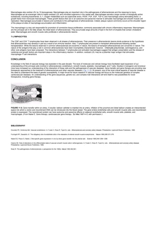 Macrophages also oxidize LDL by 15-lipoxygenase. Macrophages play an important role in the pathogenesis of atherosclerosis and the response to injury.
Macrophages act as scavenger cells to ingest oxidized LDL and microbial organisms in the vessel wall. Macrophages secrete a large number of biologically active
substances, including leukotrienes, IL-1, oxygen metabolites such as superoxide anion, PDGF, FGF, EGF, TGF-b, and macrophage colony-stimulating factor, a
growth factor from monocyte-macrophages. These growth factors then act in an autocrine and paracrine manner to stimulate macrophage and smooth muscle cell
replication. Macrophages accumulate in lesions and contribute to the pathogenesis of atherosclerosis. Indeed, plaque rupture commonly occurs at the shoulder region
of the plaque at sites of macrophage accumulation and inflammation.
The macrophage is a key cell responsible for promotion of connective tissue proliferation, commonly associated with chronic inflammatory responses. Macrophages
are the principal cell in the fatty streak, the initial lesion of atherosclerosis. They accumulate large amounts of lipid in the form of droplets that contain cholesterol
ester. Macrophages and smooth muscle cells proliferate in atherosclerotic lesions.
T-LYMPHOCYTES
The CD8+
and CD4+
T lymphocytes have been observed in all phases of atherosclerosis. Their presence in atherosclerotic lesions lends evidence to the hypothesis
that atherosclerosis may develop in part as a result of an immune reaction. Also, T lymphocytes are present in transplant atherosclerosis following cardiac
transplantation. While the lesions observed in common atherosclerosis are eccentric in nature, the lesions of transplant atherosclerosis are concentric in nature. The
nature of the antigens that play a role in common atherosclerosis have been incompletely characterized; however, Chlamydia pneumoniae, cytomegalovirus, and
other viral antigens have been proposed. The interactions between T lymphocytes and activated macrophages suggest that antigen presentation and the release of
cytokines and growth factors are important steps in the inflammatory reaction. In addition, oxidized LDL may be a potential major antigen that stimulates
macrophage–T-cell interactions.
CONCLUSION
Knowledge in the field of vascular biology has exploded in the past decade. The tools of molecular and cellular biology have facilitated rapid expansion of our
understanding of the principal cells involved in atherosclerosis: endothelium, smooth muscle, platelets, macrophages, and T cells. Studies in transgenic and knockout
mice have increased our understanding of the interaction of these cells and the pathogenesis of vascular diseases. Gene transfer and gene therapy are providing new
therapeutic approaches to the treatment of atherosclerosis and other vascular diseases ( Fig. 11.5). At present, one of the most critical aspects of vascular disease is
the need to understand the basis of genetic susceptibility. A major thrust for future research in vascular biology will focus on the molecular genetics of complex
cardiovascular diseases. An understanding of the gene sequences, genetic loci, and complex trait interactions will lend itself to new possibilities for novel
therapeutics, including gene therapy.
FIGURE 11.5. Gene transfer within an artery. A double- balloon catheter is inserted into an artery. Inflation of the proximal and distal balloon creates an interprotected
space into which a vector and recombinant DNA can be introduced into the blood vessel. The gene enters endothelial cells and smooth muscle cells, and recombinant
protein is expressed. The recombinant protein can have autocrine and paracrine effects on adjacent endothelial cells, smooth muscle cells, platelets, and
macrophages. (From Nabel E. Gene therapy: cardiovascular gene therapy. Sci Med 1997:4–5, with permission.)
BIBLIOGRAPHY
Dicorleto PE, Gimbrone MA. Vascular endothelium. In: Fuster V, Ross R, Topol EJ, eds. Atherosclerosis and coronary artery disease. Philadelphia: Lippincott-Raven Publishers, 1996.
Furchgott RF, Zawadcki JV. The obligatory role of endothelial cells in the relaxation of arterial smooth muscle acetylcholine. Nature 1980;288:373–379.
Nabel EG, Plautz G, Nabel J. Site-specific gene expression in vivo by direct gene transfer into the arterial wall. Science 1990;249:1285–1288.
Owens GK. Role of alterations in the differentiated state of vascular smooth muscle cells in atherogenesis. In: Fuster V, Ross R, Topol EJ, eds. Atherosclerosis and coronary artery disease.
Philadelphia: Lippincott-Raven Publishers, 1996.
Ross R. The pathogenesis of atherosclerosis: a perspective for the 1990s. Nature 1993;362:801.
 