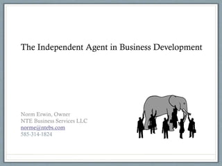 The Independent Agent in Business Development
Norm Erwin, Owner
NTE Business Services LLC
norme@ntebs.com
585-314-1824
 