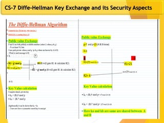 CS-7 Diffe-Hellman Key Exchange and its Security Aspects
 