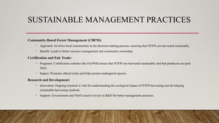 NTFP by shah non timber forest products.pptx