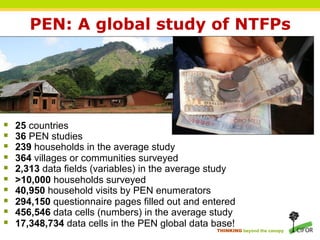 PEN: A global study of NTFPs




§    25 countries
§    36 PEN studies
§    239 households in the average study
§    364 villages or communities surveyed
§    2,313 data fields (variables) in the average study
§    >10,000 households surveyed
§    40,950 household visits by PEN enumerators
§    294,150 questionnaire pages filled out and entered
§    456,546 data cells (numbers) in the average study
§    17,348,734 data cells in the PEN global data base!
                                                   THINKING beyond the canopy
 
