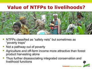 Value of NTFPs to livelihoods?




§  NTFPs classified as “safety nets” but sometimes as
    “poverty traps”
§  Not a pathway out of poverty
§  Agriculture and off-farm income more attractive than forest
    product harvesting alone
§  Thus further disassociating integrated conservation and
    livelihood functions
                                             THINKING beyond the canopy
 