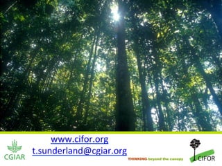 www.cifor.org	
  
t.sunderland@cgiar.org	
  
           	
  
                         THINKING beyond the canopy
 