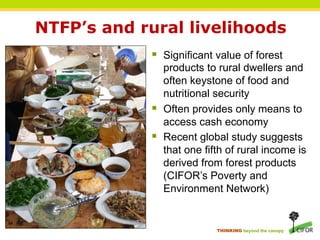 NTFP’s and rural livelihoods
            §  Significant value of forest
                products to rural dwellers and
                often keystone of food and
                nutritional security
            §  Often provides only means to
                access cash economy
            §  Recent global study suggests
                that one fifth of rural income is
                derived from forest products
                (CIFOR’s Poverty and
                Environment Network)


                           THINKING beyond the canopy
 