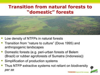 Transition from natural forests to
             “domestic” forests




§  Low density of NTFPs in natural forests
§  Transition from “nature to culture” (Dove 1995) and
    anthropogenic landscapes
§  Domestic forests (e.g. peri-urban forests of Belem
    (Brazil) or rubber agroforests of Sumatra (Indonesia))
§  Simplification of production systems
§  Thus NTFP extractive systems not reliant on biodiversity
    per se
                                              THINKING beyond the canopy
 