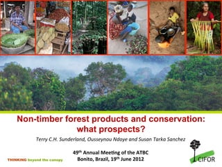 Non-timber forest products and conservation:
                   what prospects?
             Terry	
  C.H.	
  Sunderland,	
  Ousseynou	
  Ndoye	
  and	
  Susan	
  Tarka	
  Sanchez	
  
                                                       	
  
                                   49th	
  Annual	
  Mee-ng	
  of	
  the	
  ATBC	
  	
  
THINKING beyond the canopy           Bonito,	
  Brazil,	
  19th	
  June	
  2012	
  	
  
 