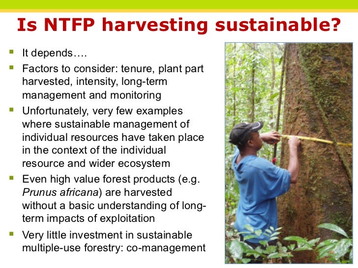 Nontimber forest products and conservation what prospects?