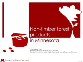 Non-timber forest products in Minnesota Dave Wilsey, PhD Assistant Extension Professor and Educator Extension Center for Food, Agriculture, and Natural Resource Sciences  