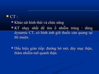  CT :CT :
 Khảo sát hình thái và chức năngKhảo sát hình thái và chức năng
 KT nhạy nhất để tìm ổ nhiễm trùng : dùngKT nhạy nhất để tìm ổ nhiễm trùng : dùng
dynamic CT, có hình ảnh giữ thuốc cản quang tạidynamic CT, có hình ảnh giữ thuốc cản quang tại
thì muộn.thì muộn.
 Dấu hiệu gián tiếp: đường bờ mờ, dày mạc thận,Dấu hiệu gián tiếp: đường bờ mờ, dày mạc thận,
thâm nhiễm mỡ quanh thận.thâm nhiễm mỡ quanh thận.
 