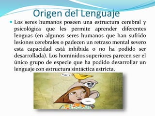 Origen del Lenguaje
 Los seres humanos poseen una estructura cerebral y
psicológica que les permite aprender diferentes
lenguas (en algunos seres humanos que han sufrido
lesiones cerebrales o padecen un retraso mental severo
esta capacidad está inhibida o no ha podido ser
desarrollada). Los homínidos superiores parecen ser el
único grupo de especie que ha podido desarrollar un
lenguaje con estructura sintáctica estricta.
 