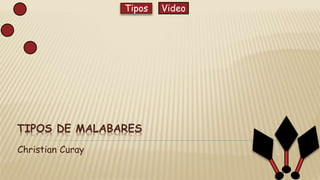 Tipos Video
TIPOS DE MALABARES
Christian Curay
 