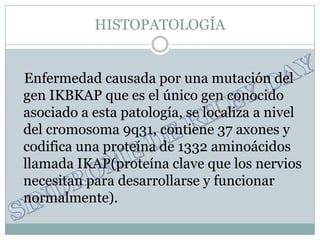 HISTOPATOLOGÍA


Enfermedad causada por una mutación del
gen IKBKAP que es el único gen conocido
asociado a esta patología, se localiza a nivel
del cromosoma 9q31, contiene 37 axones y
codifica una proteína de 1332 aminoácidos
llamada IKAP(proteína clave que los nervios
necesitan para desarrollarse y funcionar
normalmente).
 