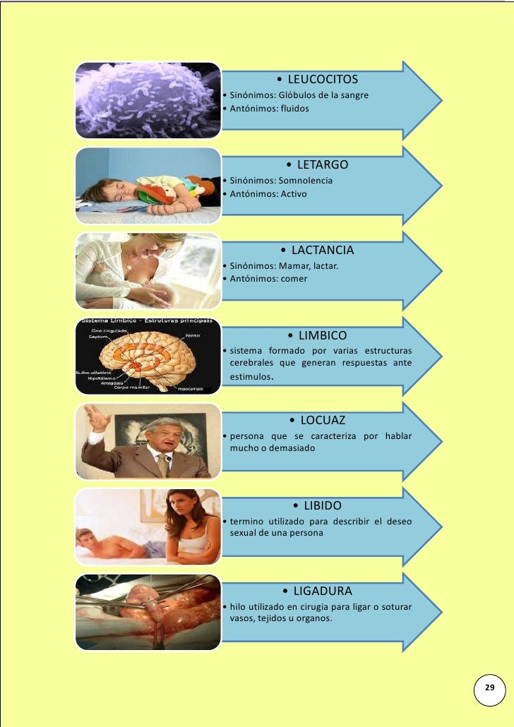 Sinonimo de mejilla