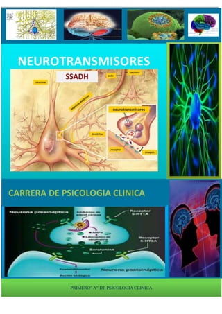 NEUROTRANSMISORES




CARRERA DE PSICOLOGIA CLINICA




             PRIMERO” A” DE PSICOLOGIA CLINICA
 