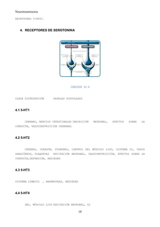 Neurotrasmisores

RECEPTORES 5-HT2C.



   4. RECEPTORES DE SEROTONINA




                                    IMAGEN N:4


CLASE DISTRIBUCIÓN       PAPELES POSTULADOS



4.1 5-HT1


      CEREBRO, NERVIOS INTESTINALES INHIBICIÓN    NEURONAL,   EFECTOS   SOBRE   LA
CONDUCTA, VASOCONSTRICCIÓN CEREBRAL



4.2 5-HT2


      CEREBRO, CORAZÓN, PULMONES, CONTROL DEL MÚSCULO LISO, SISTEMA GI, VASOS
SANGUÍNEOS, PLAQUETAS    EXCITACIÓN NEURONAL, VASOCONSTRICCIÓN, EFECTOS SOBRE LA
CONDUCTA,DEPRESIÓN, ANSIEDAD



4.3 5-HT3


SISTEMA LÍMBICO    , ANSNÁUSEAS, ANSIEDAD



4.4 5-HT4


      SNC, MÚSCULO LISO EXCITACIÓN NEURONAL, GI

                                            10
 