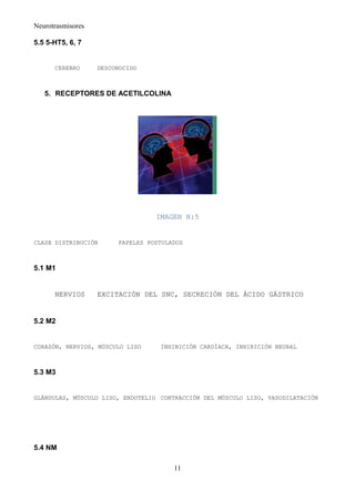 Neurotrasmisores

5.5 5-HT5, 6, 7


      CEREBRO      DESCONOCIDO



   5. RECEPTORES DE ACETILCOLINA




                                  IMAGEN N:5


CLASE DISTRIBUCIÓN      PAPELES POSTULADOS



5.1 M1


      NERVIOS      EXCITACIÓN DEL SNC, SECRECIÓN DEL ÁCIDO GÁSTRICO


5.2 M2


CORAZÓN, NERVIOS, MÚSCULO LISO     INHIBICIÓN CARDÍACA, INHIBICIÓN NEURAL



5.3 M3


GLÁNDULAS, MÚSCULO LISO, ENDOTELIO CONTRACCIÓN DEL MÚSCULO LISO, VASODILATACIÓN




5.4 NM

                                       11
 