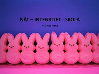 Mathias Klang Nät – Integritet - Skola 