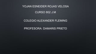 YOJAN ESNEIDER ROJAS VELOSA
CURSO 802 J.M
COLEGIO ALEXANDER FLEMING
PROFESORA: DAMARIS PRIETO
 