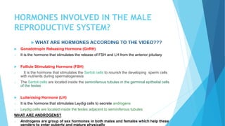 HORMONES INVOLVED IN THE MALE
REPRODUCTIVE SYSTEM?
 WHAT ARE HORMONES ACCORDING TO THE VIDEO???
 Gonadotropin Releasing Hormone (GnRH)
o It is the hormone that stimulates the release of FSH and LH from the anterior pituitary
 Follicle Stimulating Hormone (FSH)
o It is the hormone that stimulates the Sertoli cells to nourish the developing sperm cells
with nutrients during spermatogenesis
o The Sertoli cells are located inside the seminiferous tubules in the germinal epithelial cells
of the testes
 Luitenising Hormone (LH)
o It is the hormone that stimulates Leydig cells to secrete androgens
o Leydig cells are located inside the testes adjacent to seminiferous tubules
WHAT ARE ANDROGENS?
o Androgens are group of sex hormones in both males and females which help these
genders to enter puberty and mature physically
 