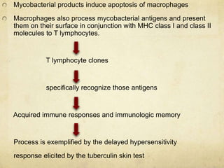 Mycobacterial products induce apoptosis of macrophages
Macrophages also process mycobacterial antigens and present
them on their surface in conjunction with MHC class I and class II
molecules to T lymphocytes.
T lymphocyte clones
specifically recognize those antigens
Acquired immune responses and immunologic memory
Process is exemplified by the delayed hypersensitivity
response elicited by the tuberculin skin test
 