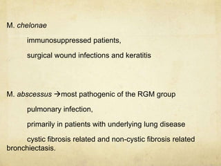 M. chelonae
immunosuppressed patients,
surgical wound infections and keratitis
M. abscessus most pathogenic of the RGM group
pulmonary infection,
primarily in patients with underlying lung disease
cystic fibrosis related and non-cystic fibrosis related
bronchiectasis.
 