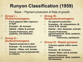 Runyon Classification (1959)
Basis – Pigment production & Rate of growth
Group I –
Photochromogens
Form pigment after exposure
to light
Example – M. kansasii
Habitat – Water & animals
Causes Pulmonary, skin,
systemic, LN infections.
Group II –
Scotochromogens
Pigment produced in dark
Example – M. scrofulaceum
Habitat – Water, soil, fomites
Causes cervical lymphadenitis
in children
Group III-
Nonphotochromogens
No pigment production
Examples – M. intracellulare, M.
avium & M. xenopi
Habitat – Soil, Seawater, animals
Causes Pulmonary,
gastrointestinal, renal, systemic,
LN infections
Pulmonary, epididymis
Group IV –Rapid growers
Colonies appear within seven
days
Example –M. fortuitum,
Habitat- Water, soil & animals
Causes Pulmonary,
gastrointestinal, renal, systemic,
LN infections
 