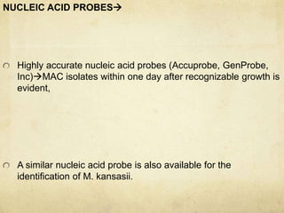 NUCLEIC ACID PROBES
Highly accurate nucleic acid probes (Accuprobe, GenProbe,
Inc)MAC isolates within one day after recognizable growth is
evident,
A similar nucleic acid probe is also available for the
identification of M. kansasii.
 