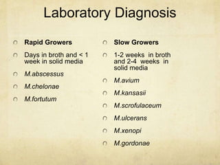 Laboratory Diagnosis
Rapid Growers
Days in broth and < 1
week in solid media
M.abscessus
M.chelonae
M.fortutum
Slow Growers
1-2 weeks in broth
and 2-4 weeks in
solid media
M.avium
M.kansasii
M.scrofulaceum
M.ulcerans
M.xenopi
M.gordonae
 