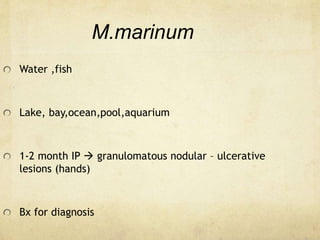M.marinum
Water ,fish
Lake, bay,ocean,pool,aquarium
1-2 month IP  granulomatous nodular – ulcerative
lesions (hands)
Bx for diagnosis
 