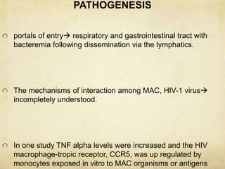 PATHOGENESIS
portals of entry respiratory and gastrointestinal tract with
bacteremia following dissemination via the lymphatics.
The mechanisms of interaction among MAC, HIV-1 virus
incompletely understood.
In one study TNF alpha levels were increased and the HIV
macrophage-tropic receptor, CCR5, was up regulated by
monocytes exposed in vitro to MAC organisms or antigens
 