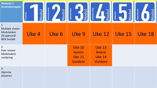 Moduler /
Eksamensmappe
1
Multiple choice
Modulprøve
20 spørsmål
80% bestått
Uke 4 Uke 6 Uke 9 Uke 12 Uke 15 Uke 18
2
Peer review
Medstudent
vurdering
Uke 10
levere
Uke 11
Vurdere
Uke 13
levere
Uke 14
Vurdere
3
Hjemme
eksamen
 