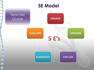 5E Model
Teacher
Guide
 