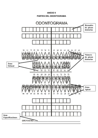 ANEXO II
PARTES DEL ODONTOGRAMA

Recuadro
de piezas
dentarias

Número
de piezas
dentarias
Zona
Oclusal

Zona
Apical

Item
Especificaciones

 