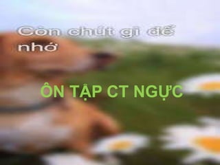 ÔN TẬP CT NGỰC
 