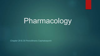 Pharmacology
Chapter 29 & 30 Penicillinans Cephalosporin
 