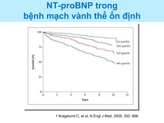 NT-proBNP trong
bệnh mạch vành thể ổn định
1 Kragelund C, et al, N Engl J Med, 2005; 352: 666.
 