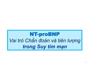 NT-proBNP
Vai trò Chẩn đoán và tiên lượng
trong Suy tim mạn
36
 