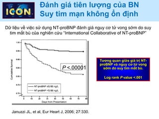Đánh giá tiên lượng của BN
Suy tim mạn không ổn định
Januzzi JL, et al, Eur Heart J, 2006; 27:330.
Tương quan giữa giá trị NT-
proBNP và nguy cơ tử vong
sớm do suy tim mất bù.
Log rank P value <.001
Dữ liệu về việc sử dụng NT-proBNP đánh giá nguy cơ tử vong sớm do suy
tim mất bù của nghiên cứu “International Collaborative of NT-proBNP”
P <.00001
 