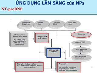 ỨNG DỤNG LÂM SÀNG của NPs
NT-proBNP:Tầm soát- Chẩn đoán- Tiên lượng-Theo dõi
60
 