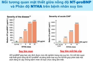 Mối tương quan mật thiết giữa nồng độ NT-proBNP
và Phân độ NYHA trên bệnh nhân suy tim
•NT-proBNP giúp bạn xác định được mức độ nghiêm trọng của suy tim. Có mối liên quan
mật thiết giữa nồng độ NT-proBNP và bảng phân loại suy tim NYHA giúp phân biệt một
cách đáng tin cậy những bệnh nhân rối loạn chức năng tâm thất.
Suy tim mạn Suy tim mất bù cấp
 