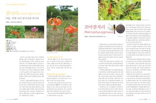 (Lilium tigrinum)


                 1               2




                                         (Nannophya pygmaea)




                                     3




21   |   |   |                                                 |   |   |   22
 