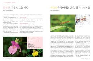 1   2




                         Impatiens textori var. textori




                 1   2



32   |   |   |                                                    |   |   |   33
 