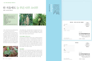 Pinus densiflora Siebold & Zucc.




                                            1   2




                                                                     02-739-3131       02-739-9598
                                                                          ntrust@nationaltrust.or.kr


                                                             1 1 0   5 2 4




                                                    E-mail




                                                                     02-739-3131       02-739-9598
                                                                          ntrust@nationaltrust.or.kr


40   |        |             |
                                                             1 1 0   5 2 4
 