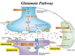 Neurohumoral Transmission in CNS | PPTX